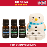 Starter Home Aromatheraphy Essentials Kit