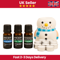 Starter Home Aromatheraphy Essentials Kit