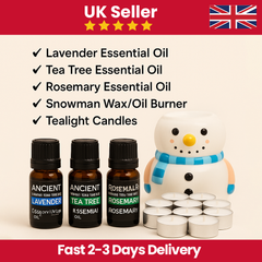 Starter Home Aromatheraphy Essentials Kit